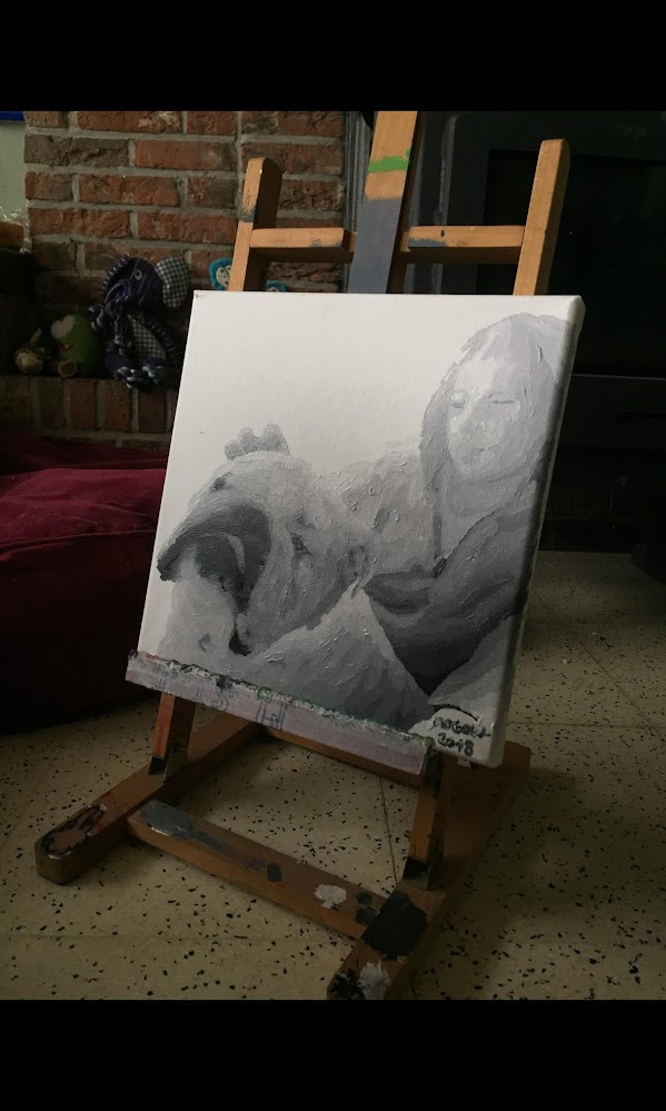 Image 9