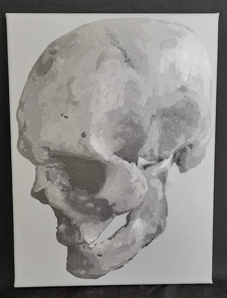 Image 11
